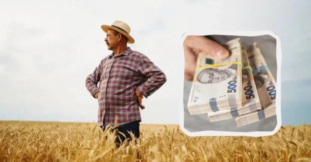 Земля може виявитися під арештом або в заставі: що перевірити до купівлі